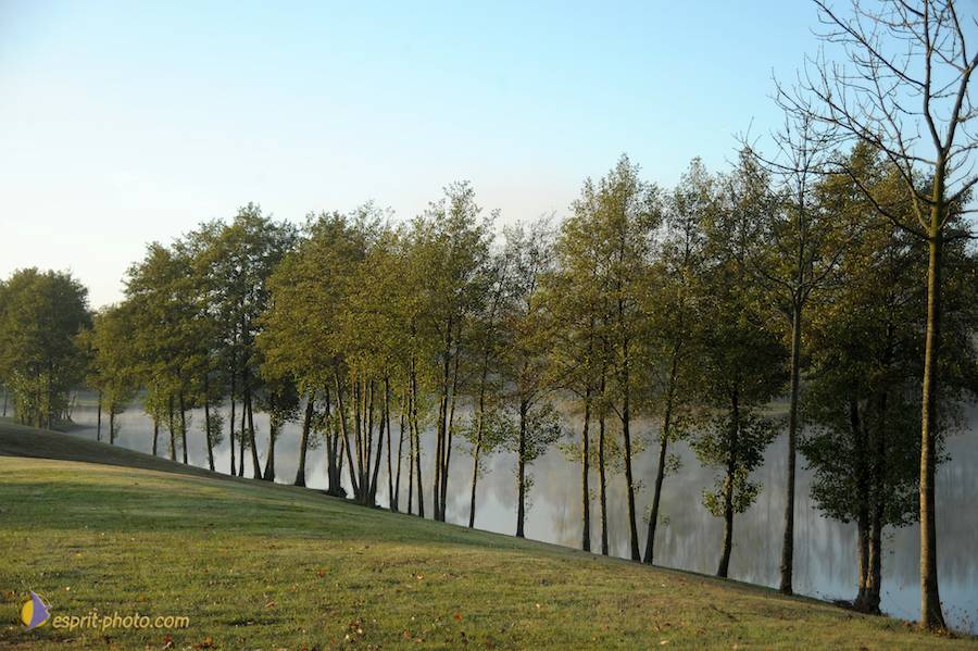 Nom de l'image : D30082668_1_(c)Norbert-JUNG — Description :